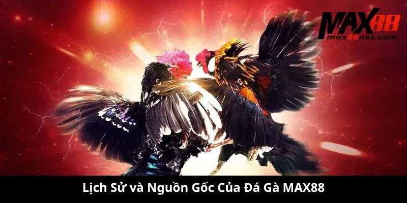 Lịch Sử và Nguồn Gốc Của Đá Gà MAX88