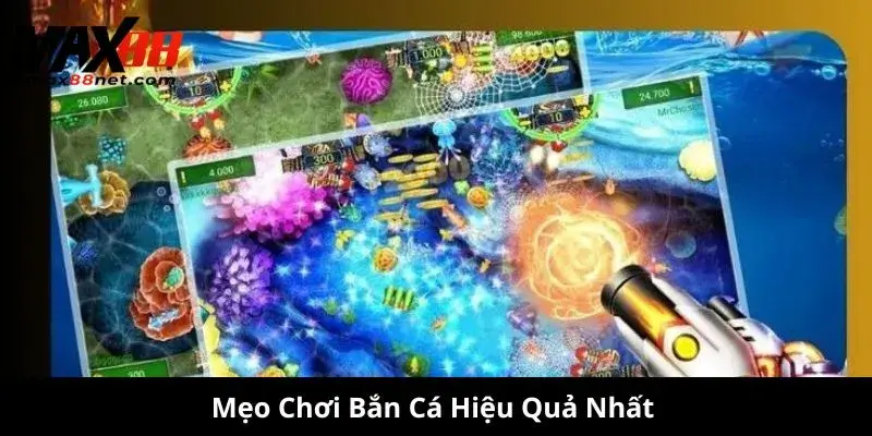 Mẹo Chơi Bắn Cá – Cách Bắn Chuẩn & Kiếm Xu Hiệu Quả 2 Mẹo Chơi Bắn Cá Hiệu Quả Nhất